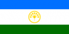 Bashkir language Translation into the Bashkir language