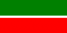 Translation into the Tatar language Tatar language