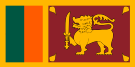 Sinhalese language Translation into the Sinhalese language