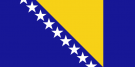 Translation into the Bosnian language