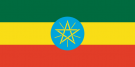 Amharic language Translation into the Amharic language