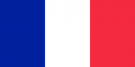 Translation into the French language