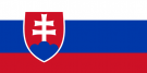 Slovak language Translation into the Slovak language