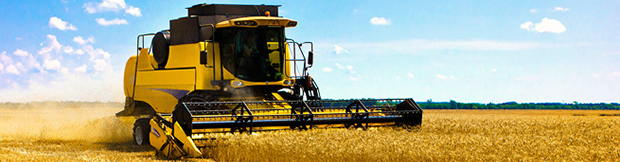The translation on a subject an agricultural industry