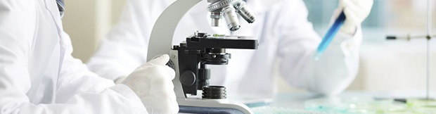 Translation in the field of medicine and pharmacy