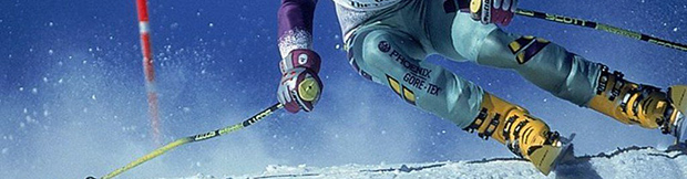 Translation in the field of sport